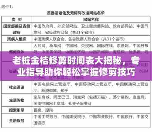 老桩金桔修剪时间表大揭秘，专业指导助你轻松掌握修剪技巧！