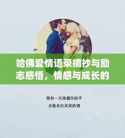 哈佛爱情语录摘抄与励志感悟，情感与成长的双重启迪