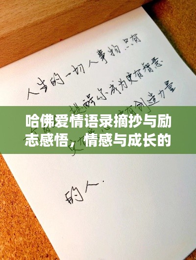 哈佛爱情语录摘抄与励志感悟,情感与成长的双重启迪