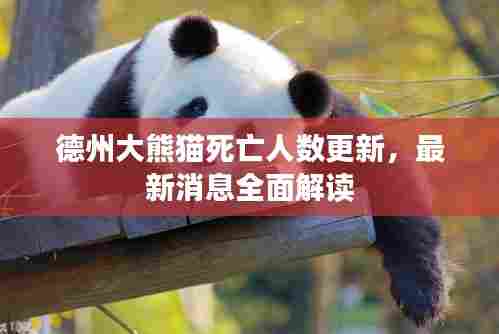 德州大熊猫死亡人数更新，最新消息全面解读