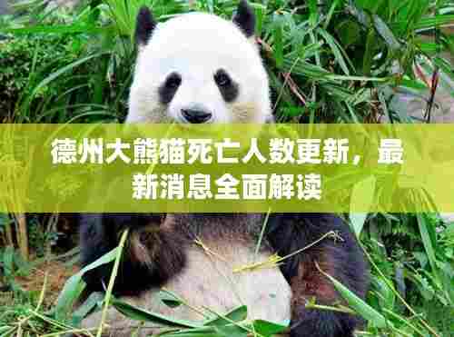 德州大熊猫死亡人数更新,最新消息全面解读