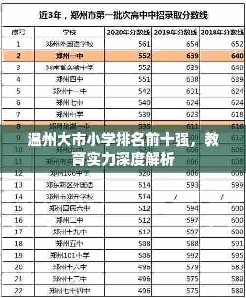 温州大市小学排名前十强,教育实力深度解析