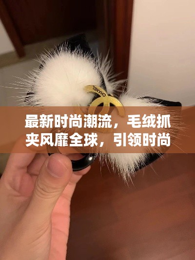 最新时尚潮流,毛绒抓夹风靡全球,引领时尚风潮!