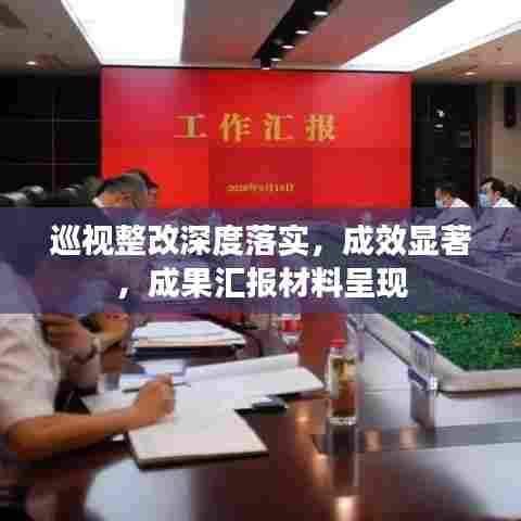 巡视整改深度落实,成效显著,成果汇报材料呈现