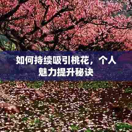 如何持续吸引桃花，个人魅力提升秘诀