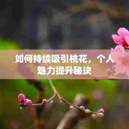 如何持续吸引桃花,个人魅力提升秘诀