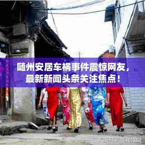 随州安居车祸事件震惊网友，最新新闻头条关注焦点！