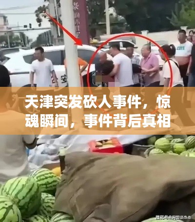 天津突发砍人事件,惊魂瞬间,事件背后真相揭秘