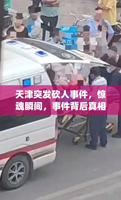 天津突发砍人事件,惊魂瞬间,事件背后真相揭秘