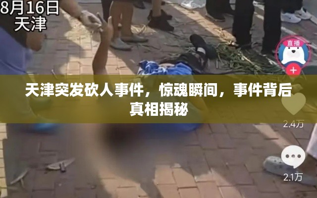 天津突发砍人事件,惊魂瞬间,事件背后真相揭秘