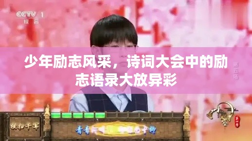 少年励志风采,诗词大会中的励志语录大放异彩