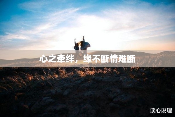 心之牵绊,缘不断情难断