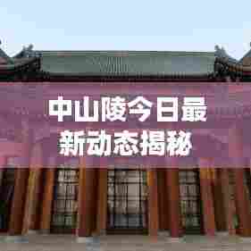 中山陵今日最新动态揭秘