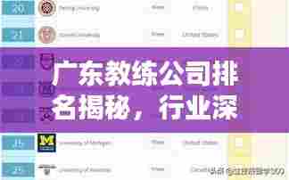 广东教练公司排名揭秘,行业深度解析与权威榜单