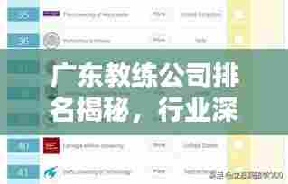 广东教练公司排名揭秘,行业深度解析与权威榜单