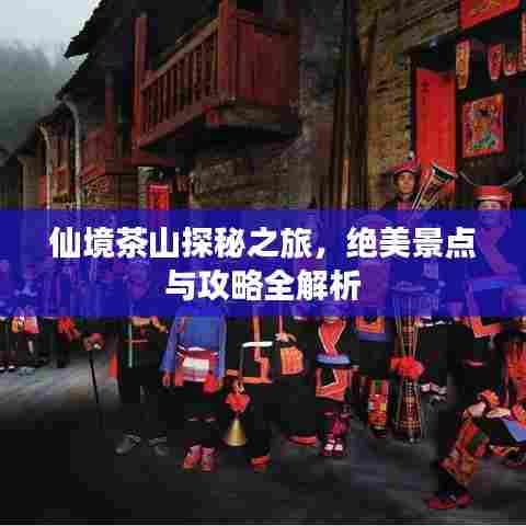 仙境茶山探秘之旅,绝美景点与攻略全解析