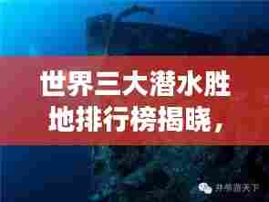 世界三大潜水胜地排行榜揭晓,海洋魅力无限,你心动了吗?