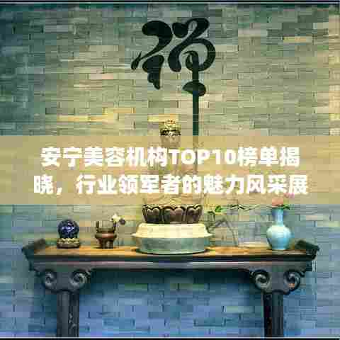 安宁美容机构TOP10榜单揭晓,行业领军者的魅力风采展示