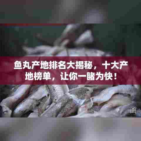 鱼丸产地排名大揭秘,十大产地榜单,让你一睹为快!
