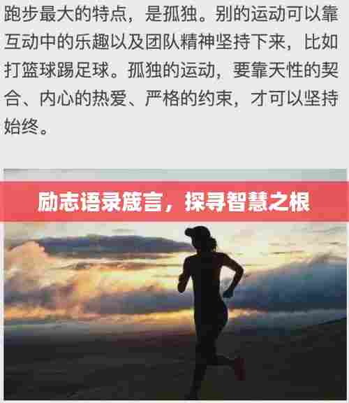 励志语录箴言,探寻智慧之根