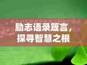 励志语录箴言,探寻智慧之根
