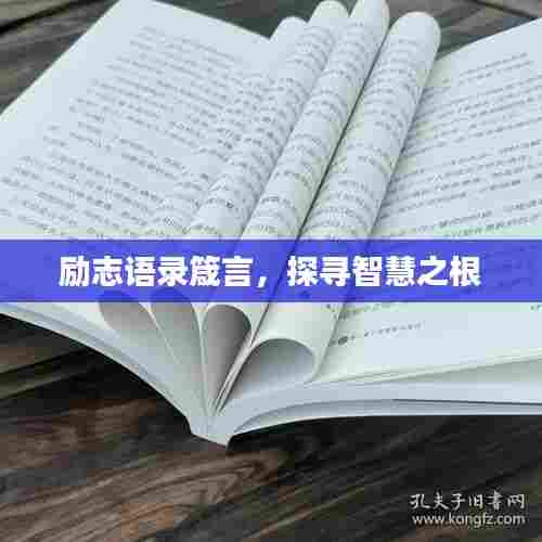 励志语录箴言,探寻智慧之根