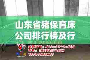 山东省猪保育床公司排行榜及行业影响力解析