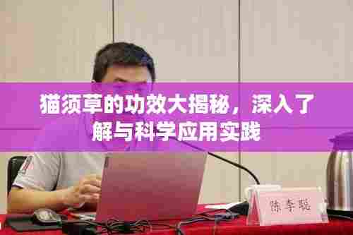 猫须草的功效大揭秘,深入了解与科学应用实践