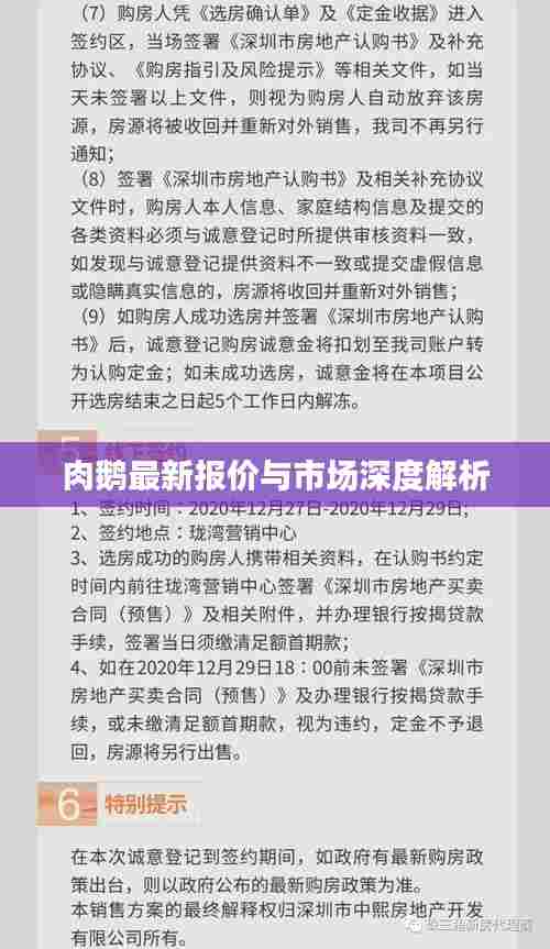 肉鹅最新报价与市场深度解析