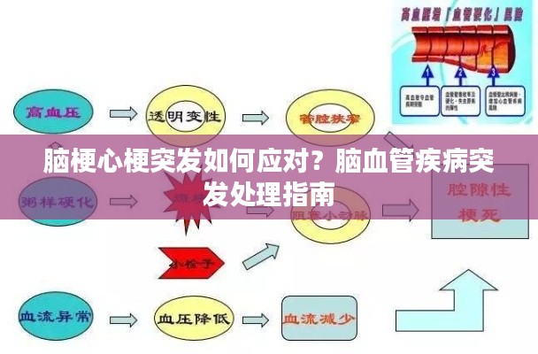 脑梗心梗突发如何应对?脑血管疾病突发处理指南