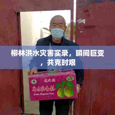 唾沫横飞 第5页