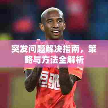 突发问题解决指南,策略与方法全解析