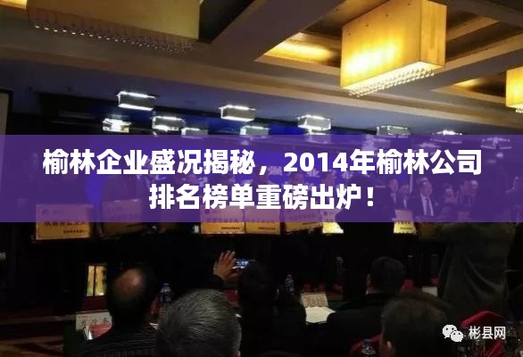 榆林企业盛况揭秘,2014年榆林公司排名榜单重磅出炉!
