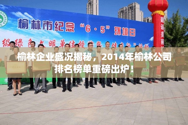 榆林企业盛况揭秘,2014年榆林公司排名榜单重磅出炉!