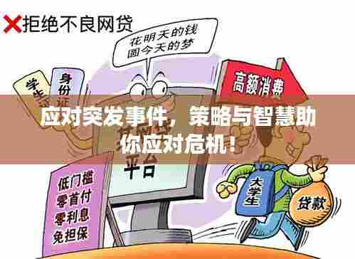 应对突发事件，策略与智慧助你应对危机！