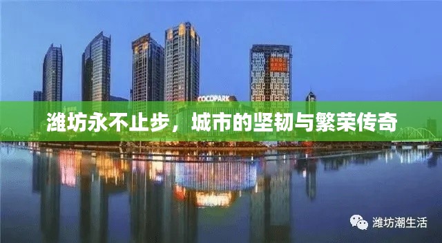 潍坊永不止步，城市的坚韧与繁荣传奇