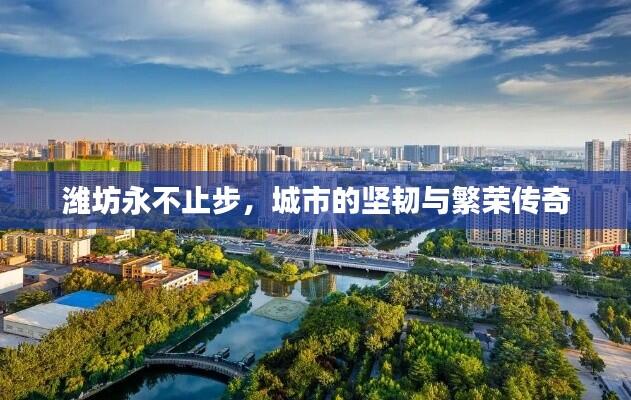 潍坊永不止步,城市的坚韧与繁荣传奇