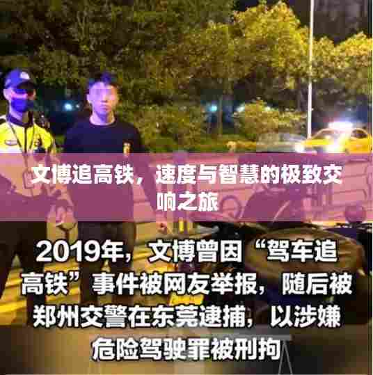 文博追高铁,速度与智慧的极致交响之旅