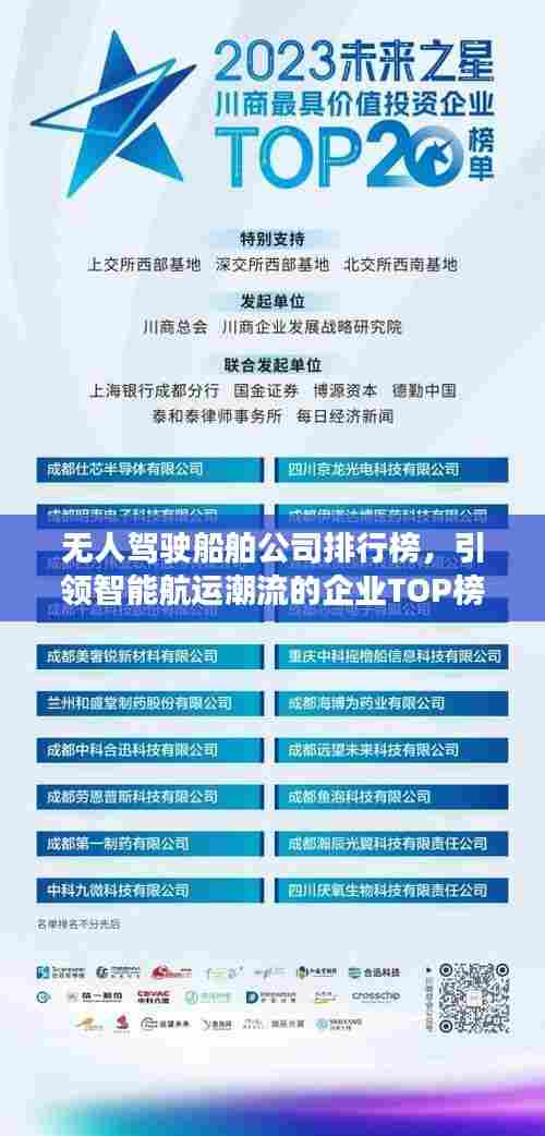 无人驾驶船舶公司排行榜,引领智能航运潮流的企业TOP榜单!