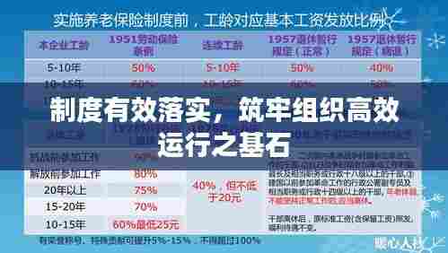 制度有效落实,筑牢组织高效运行之基石