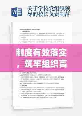 制度有效落实,筑牢组织高效运行之基石