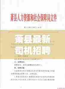 萧县最新司机招聘信息今日发布
