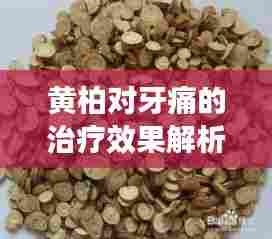 黄柏对牙痛的治疗效果解析，百度健康为您解答