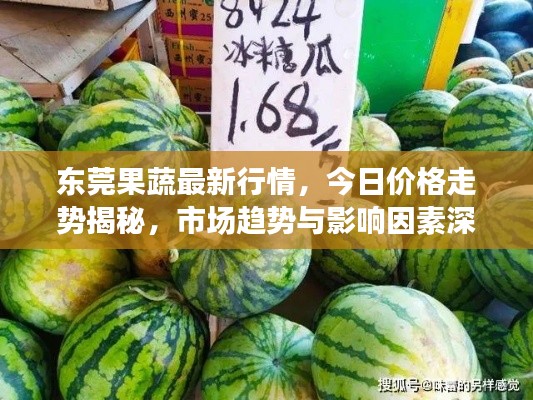 东莞果蔬最新行情,今日价格走势揭秘,市场趋势与影响因素深度剖析