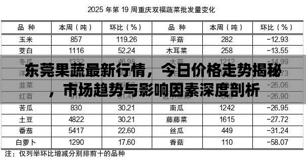 东莞果蔬最新行情,今日价格走势揭秘,市场趋势与影响因素深度剖析