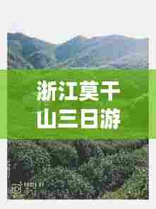 浙江莫干山三日游，自然与人文的绝美交织