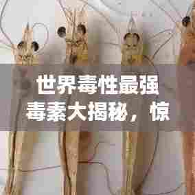 世界毒性最强毒素大揭秘,惊人排名榜单!