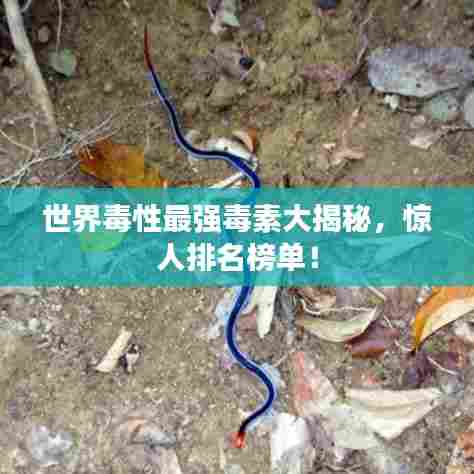 世界毒性最强毒素大揭秘,惊人排名榜单!