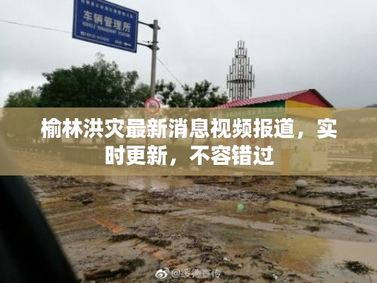 榆林洪灾最新消息视频报道，实时更新，不容错过