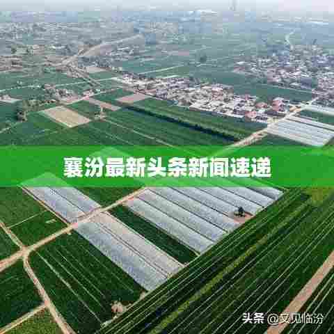 襄汾最新头条新闻速递